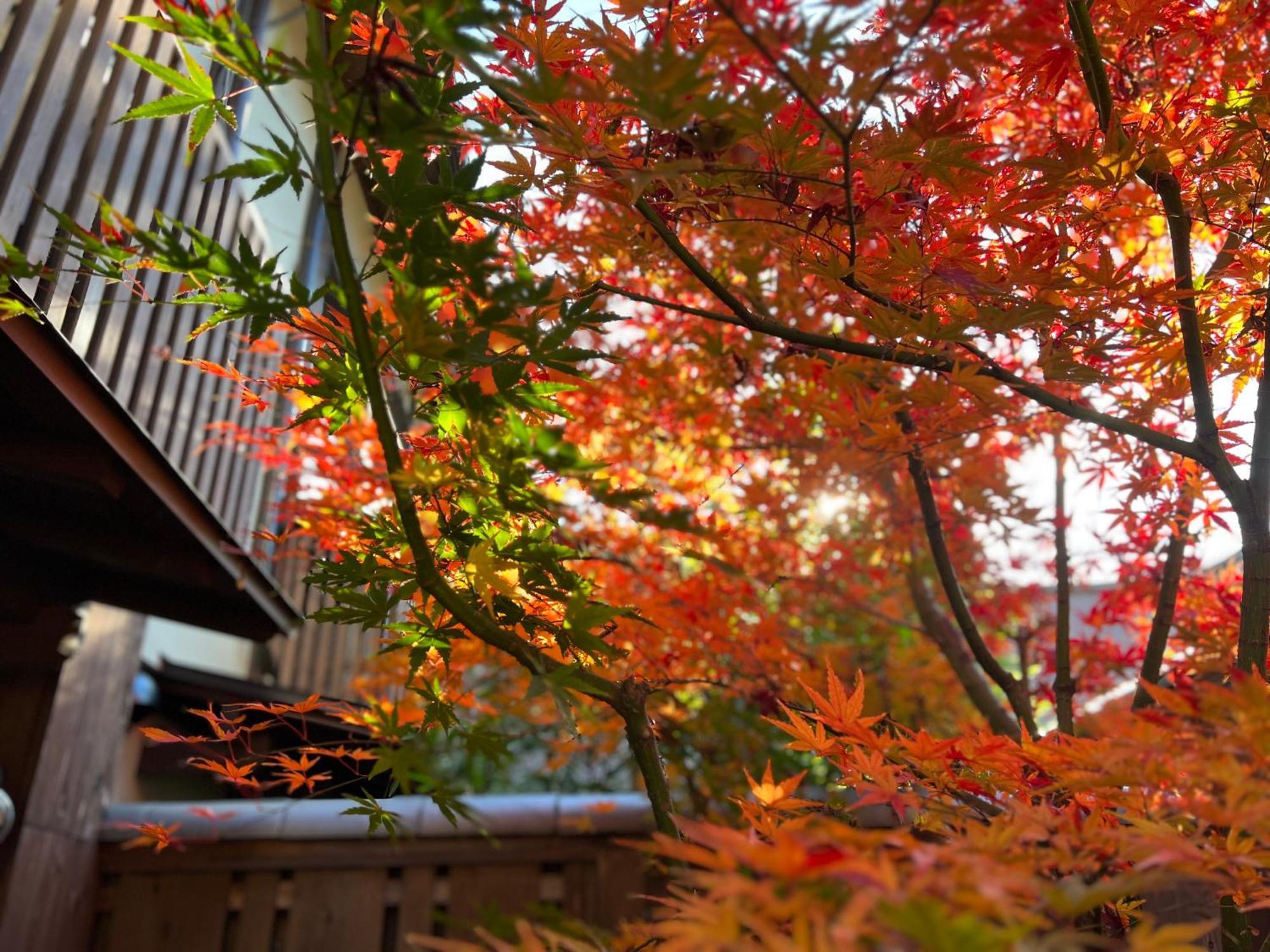 京都Imakumano Terrace - Dohachi An 道八庵别墅 外观 照片
